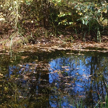 Сasa de vacaciones De Jachthut *