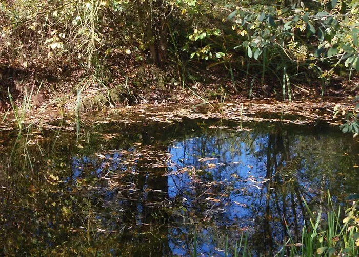 Casa de Férias De Jachthut *